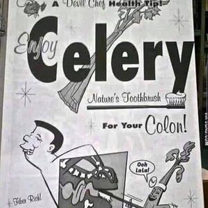 celery.jpg