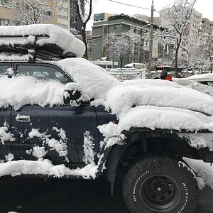 16005F0C-68AA-4398-9520-90B18B7309C0.jpeg