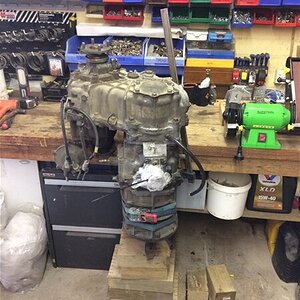 IMG_0440.jpg