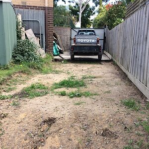 IMG_0590.jpg