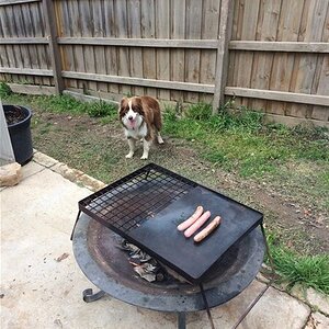 IMG_0586.jpg