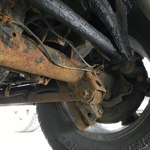 IMG_1987.JPG