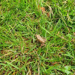 20200725_145520.jpg