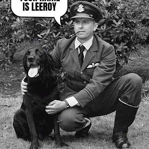 Leroy.jpg