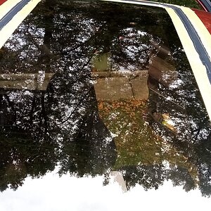 IMG_20200912_161119.jpg