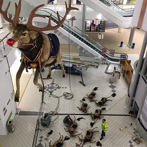rudolph.jpg