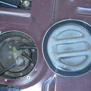 DSCN5880.JPG