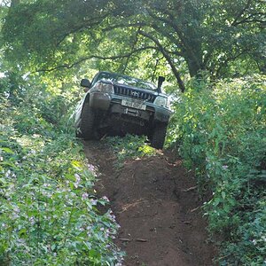 DSC_6275.jpg