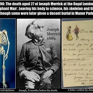 Joseph Merrick The Elephant man.jpg