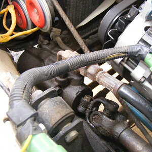 DSCF4155.JPG