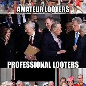 looting like a pro.jpg