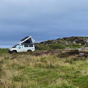 Cedric in Scotland (Gigha).jpg