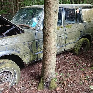 DSC_0926.JPG