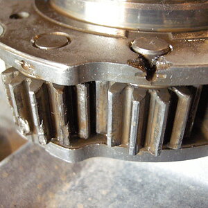 DSCN7515.JPG