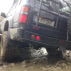 IMG_2503a.jpg