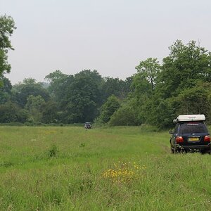 IMG_3156.jpg