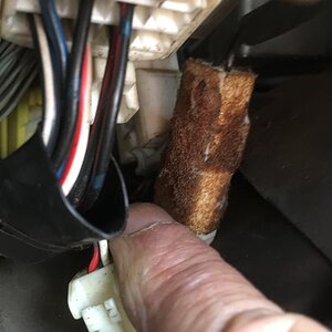 2d8c38ec-08fd-447d-9eb3-3471bc493098.jpg