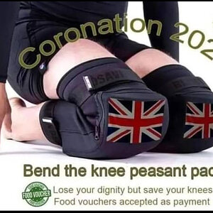 knee pads.jpg