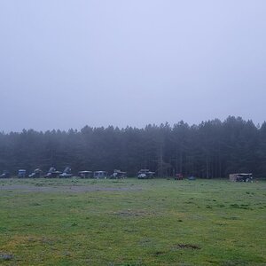 20240511_051539.jpg