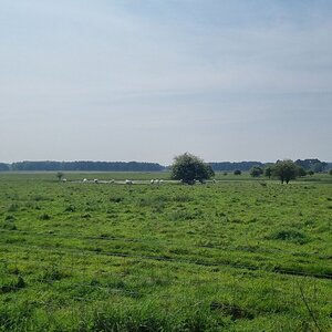 20240511_105238.jpg