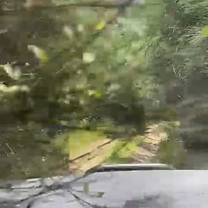 VID-20240604-WA0010.mp4