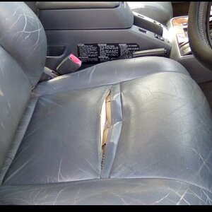 driver's seat.jpg
