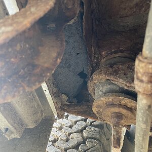 IMG_0249.jpeg