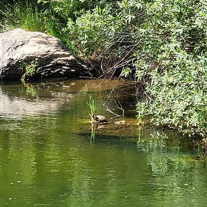 20240530_124842.jpg