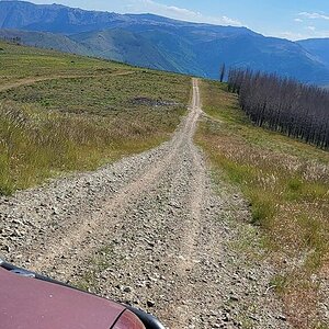 20240602_164050.jpg