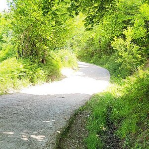 20240605_140621.jpg