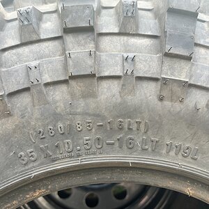 IMG_7151.jpeg