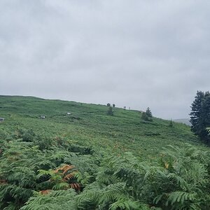 20240817_102659.jpg