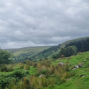 20240817_115516.jpg