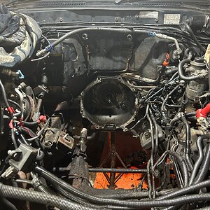 EngineBay.jpeg