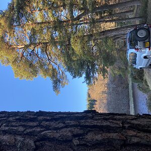 IMG_6293.jpeg