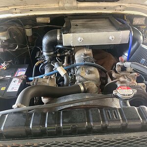 IMG_3154.jpeg