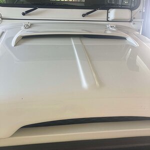 IMG_3155.jpeg
