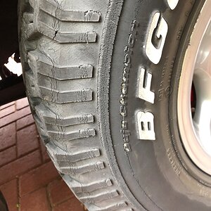 IMG_3054.jpeg