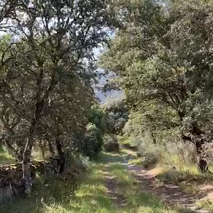 VID-20250528-WA0086.mp4