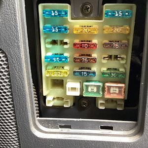 IMG_0008.jpeg
