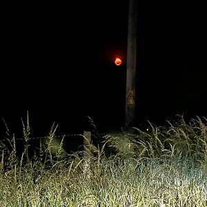 IMG_6419.jpeg