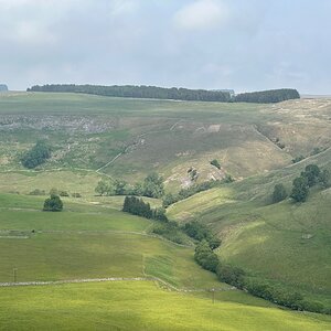 IMG_6383.jpeg