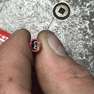 IMG_1746.jpeg