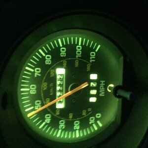 IMG_8288.jpeg