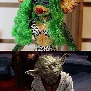 Yoda.jpg