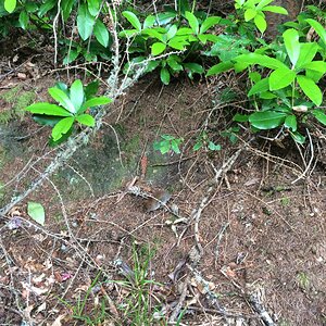 IMG_3096.JPG