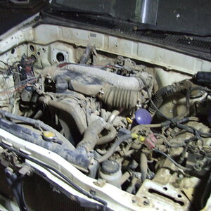 Hilux D4D 001.JPG