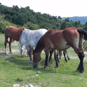 DSCN4743.JPG