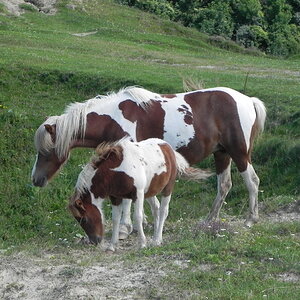 DSCN4747.JPG