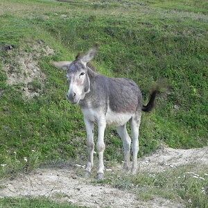 DSCN4744.JPG